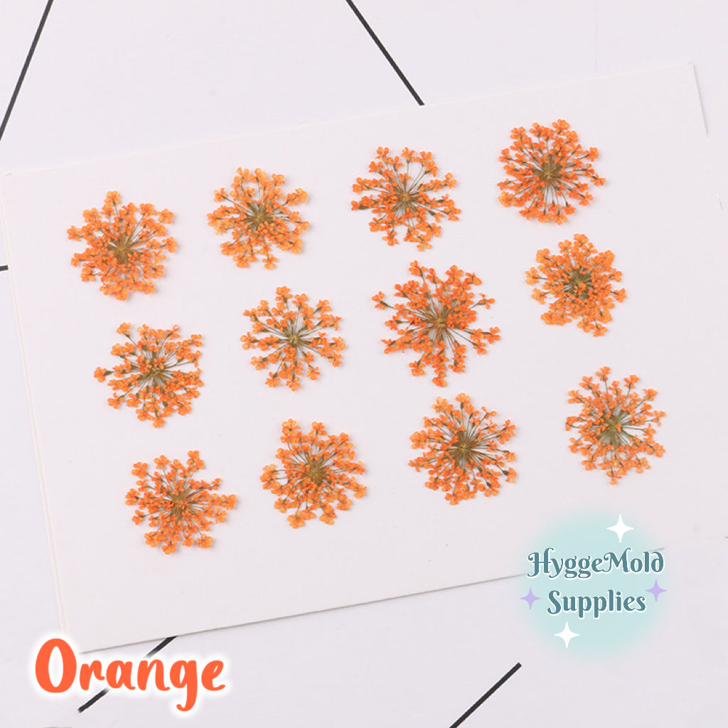 12pcs Pressed Lace Flowers Choose the Colour