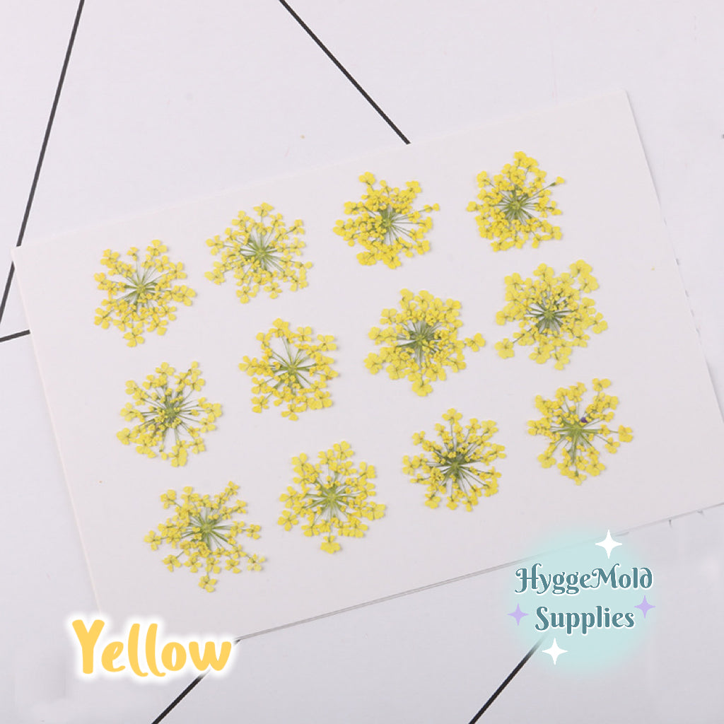 12pcs Pressed Lace Flowers Choose the Colour