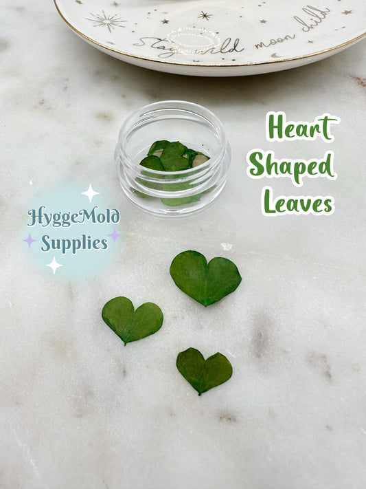 20 Pcs Mini Heart Shaped Leaves Pot