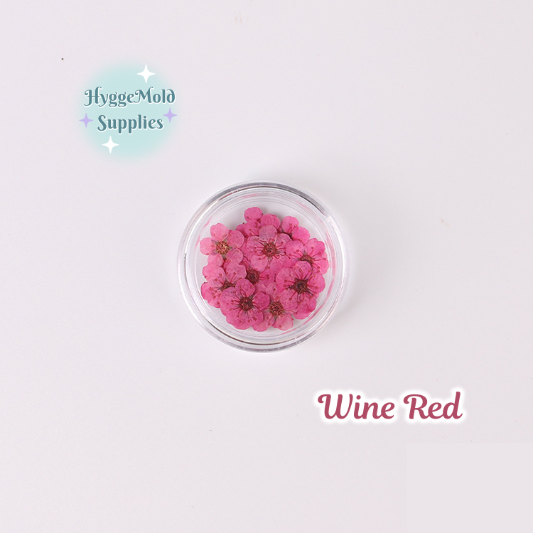 20 Pcs Mini Pressed Flowers Pot
