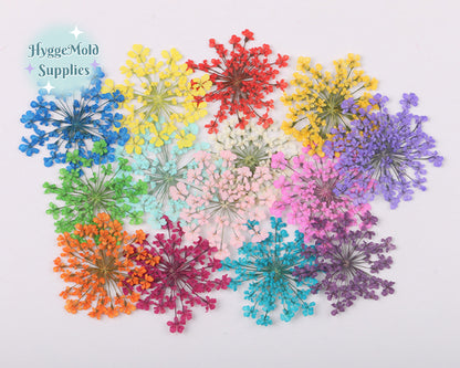 12pcs Pressed Lace Flowers Choose the Colour