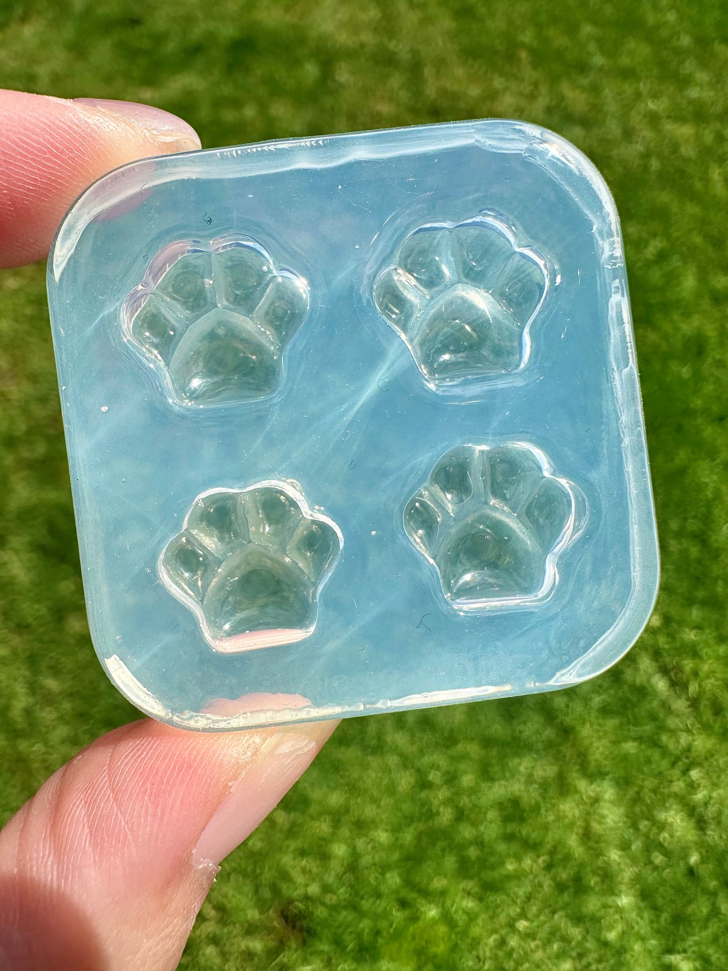 Mini 3D Pet Paw Stud Mold Dog Cat Animal