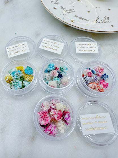 Mini Hydrangea Dried Flowers in a pot (Blue Haze)