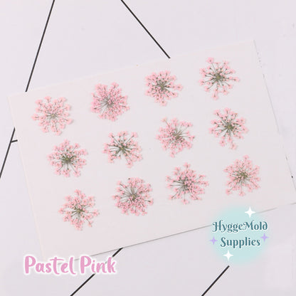 12pcs Pressed Lace Flowers Choose the Colour