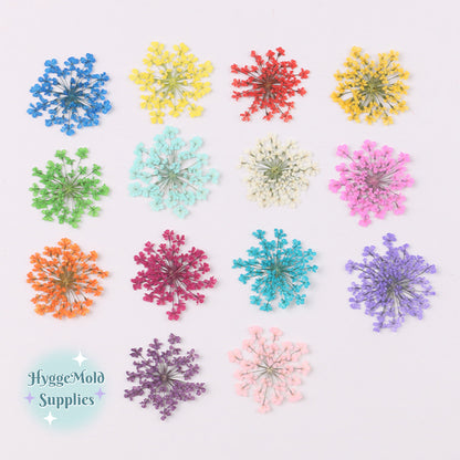 12pcs Pressed Lace Flowers Choose the Colour