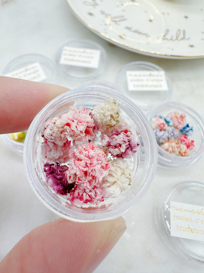 Mini Hydrangea Dried Flowers in a pot (Pink Blossom)