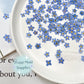 20 pc Medium-size Pressed Forget-me-not Flowers in vacuum-sealed bag