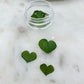 20 Pcs Mini Heart Shaped Leaves Pot