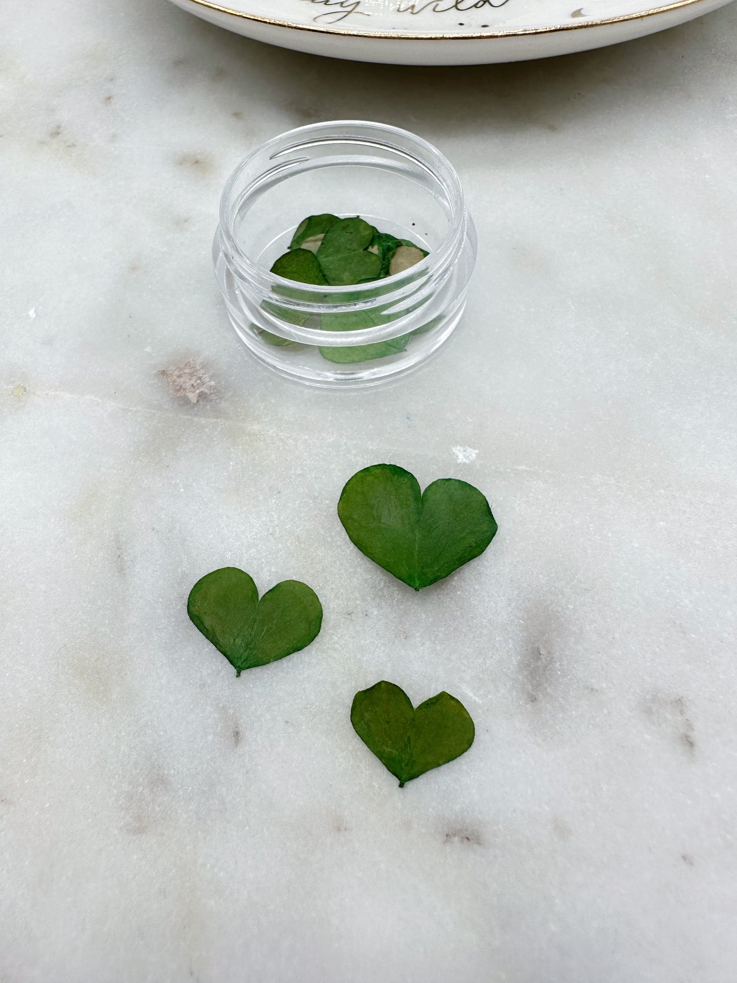 20 Pcs Mini Heart Shaped Leaves Pot