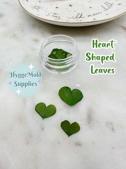 20 Pcs Mini Heart Shaped Leaves Pot