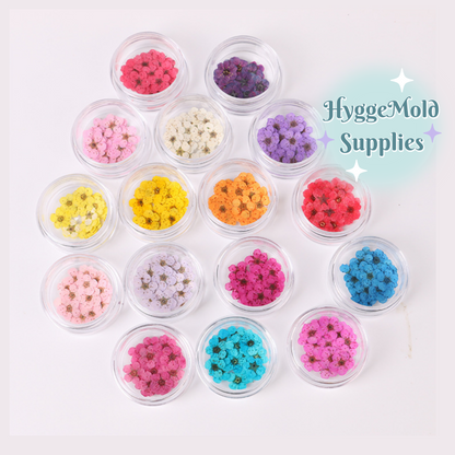 20 Pcs Mini Pressed Flowers Pot